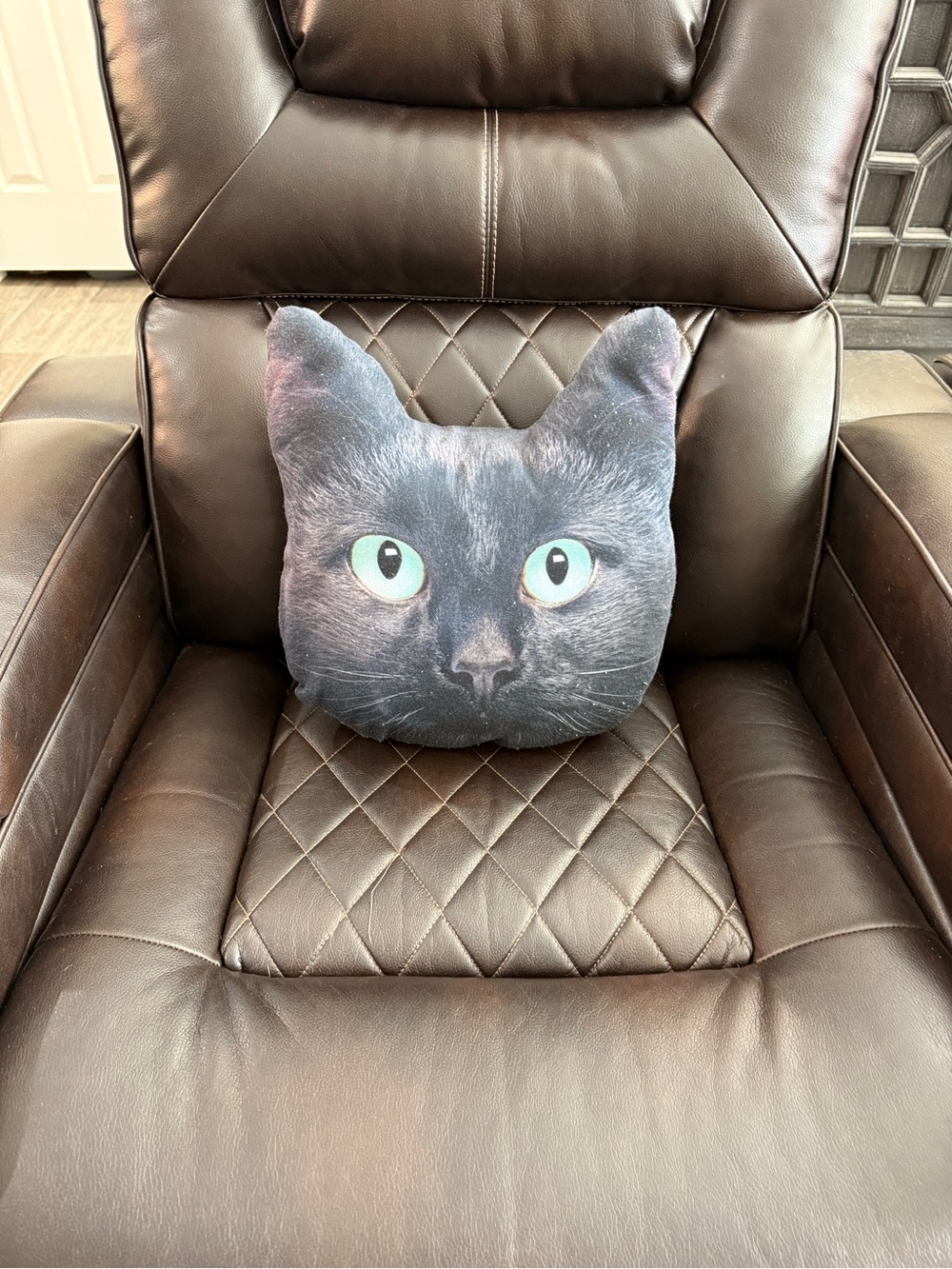 Black Cat Face Plush Throw Pillow - Soft Decorative Cushion